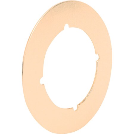 Prime-Line Prime-Line Brass Plated Brass Back Plate 1 pk U 9524